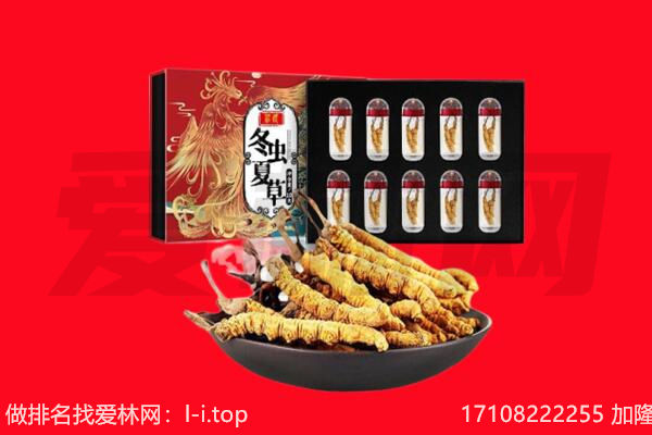 甘孜州丹巴回收虫草.jpg